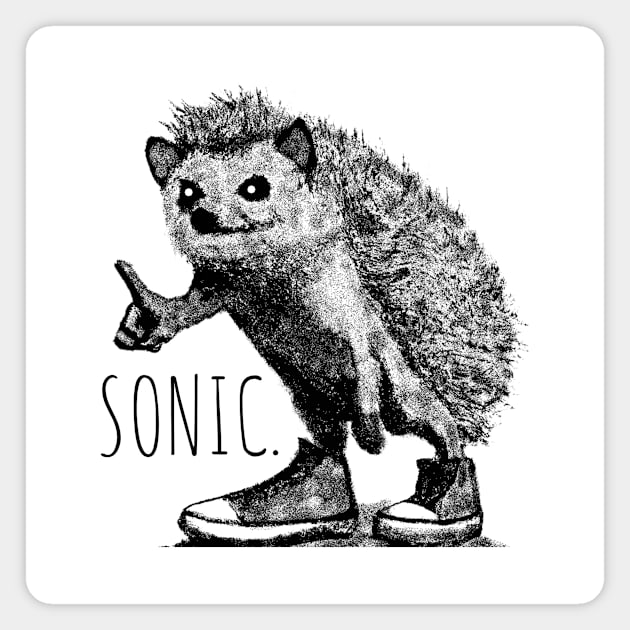 Sonic a Hedgehog Sketch Magnet by Coastal House Apparel 